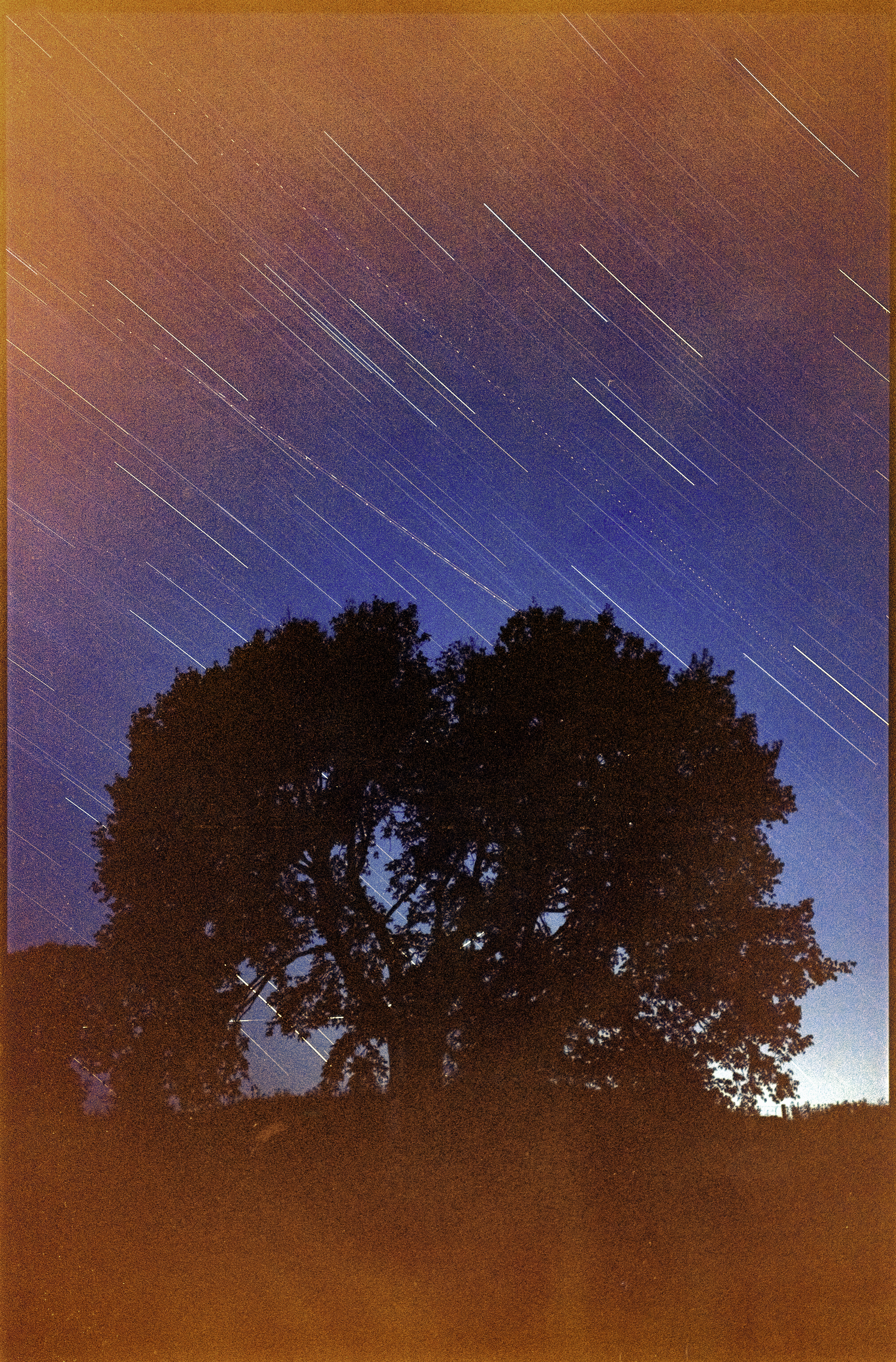 fogged-star-trails.JPEG